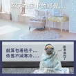 【甲珍】七段式調控恆溫電熱毯(單人款/2+1年保固/KR-3900-J)
