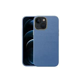 【Didoshop】iPhone 13 6.1吋 電鍍金邊磨砂手機殼(SX092)