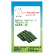 【蔬菜工坊】G51-1.綠櫛瓜種子(阿菲)