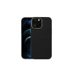【Didoshop】iPhone 13 Pro 6.1吋 電鍍金邊磨砂手機殼(SX093)