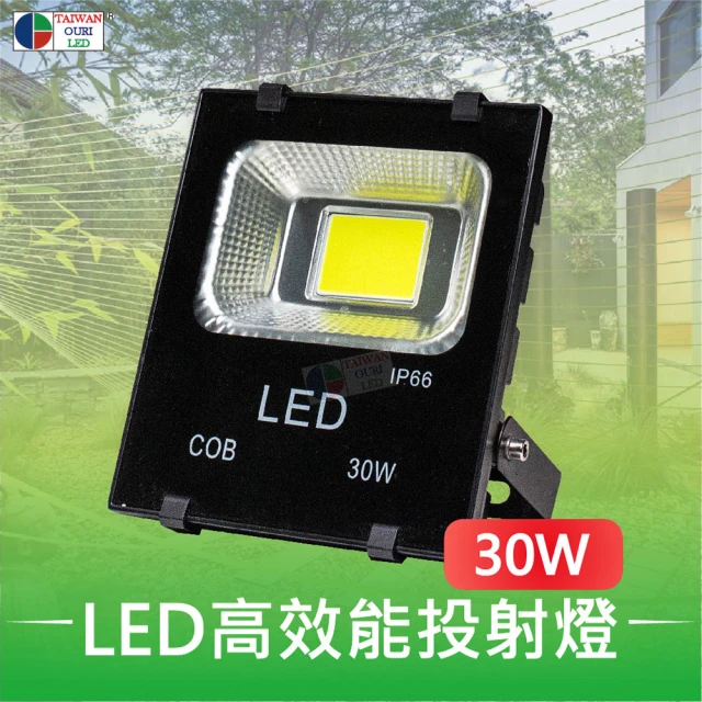 台灣歐日光電 LED防水投射燈 30W白光 IP66防護等級(投光燈6000K 110V 220V【DA30C】)