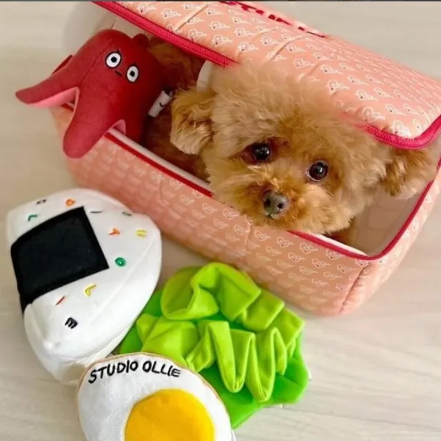 【Studio Ollie】糖果禮盒 嗅聞玩具(寵物玩具 狗狗玩具 寵物益智 藏食玩具)