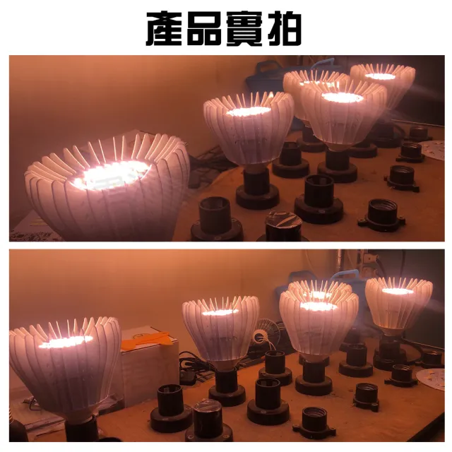 【JIUNPEY 君沛】40W 加強型光譜E27植物燈泡 吊掛式(植物生長燈)