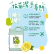 【Green 綠的】植物系潔手慕斯3800ml-檸檬伯爵加侖桶(洗手乳 洗手慕斯)