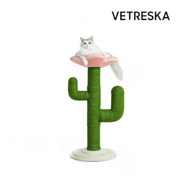【Vetreska 未卡】花朵仙人掌貓爬架(不需澆水也自動長出花朵貓窩的仙人掌)