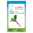 【蔬菜工坊】C16-1.紅金交蘿蔔種子