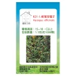 【蔬菜工坊】K21-1.柳薄荷種子(神香草.海壽花)
