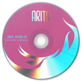 【RITEK 錸德】ARITA DVD-R 100片裝 可燒錄空白光碟(錸德製造)