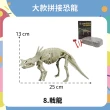【OhBabyLaugh】恐龍化石 - 大款拼接恐龍 9款任選(模型玩具/恐龍模型/挖掘考古DIY玩具/侏儸紀公園)