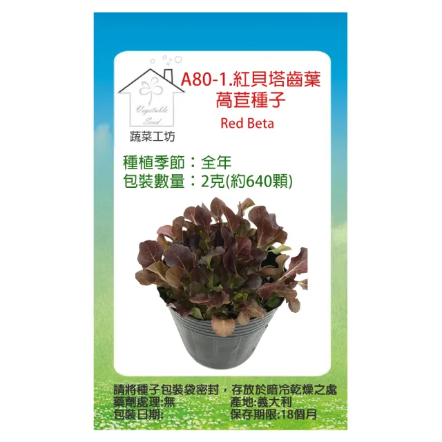 【蔬菜工坊】A80-1.紅貝塔齒葉萵苣種子(寶貝菜.貝比生菜)