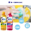 【台隆手創館】日本第一石鹼弱酸性洗碗精250ml(葡萄柚/柑橘)