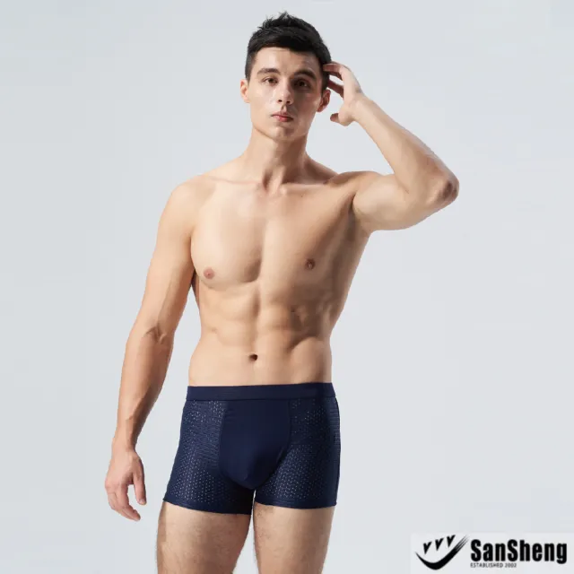 【SanSheng 三勝】6件組專利天然植蠶彈力透氣平口褲(透氣布料 舒適親膚)