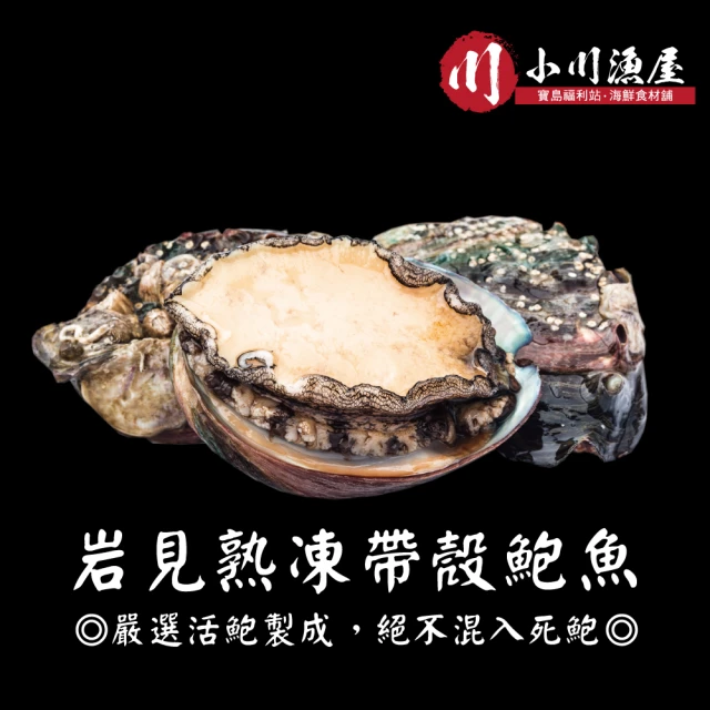 【小川漁屋】熟凍帶殼鮑魚3包(300g±10%/包/8-11顆)