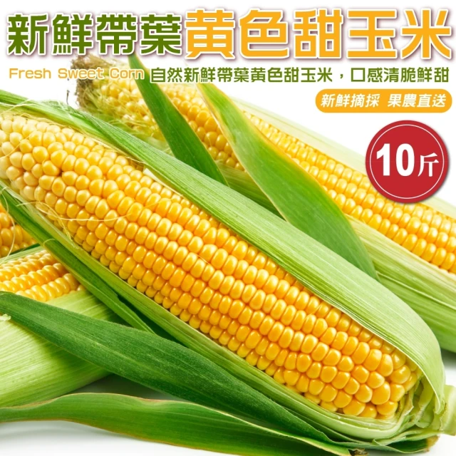 【WANG 蔬果】新鮮帶葉黃色甜玉米10斤x1箱(農民直配)