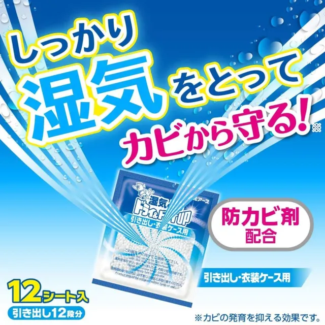 【台隆手創館】日本白元 Dry & Dry Up 抽屜用除濕包(12入裝)