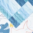 【HOLA】鯊魚萬花筒純棉長效防蟎涼被雙人(雙人)