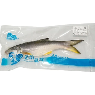 【新港農會】午仔魚300g-400gX2包