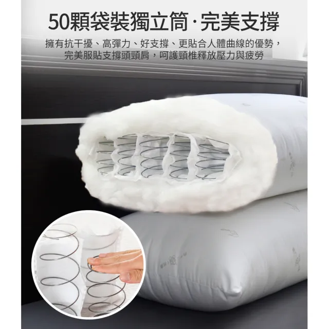 【Aibo】買1送1 日本熱賣大和化工抗菌獨立筒枕
