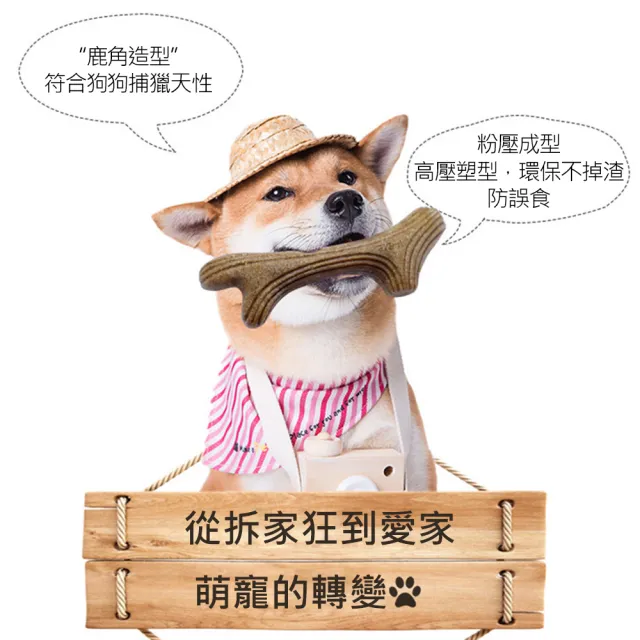 【AFAMIC 艾法】超耐咬寵物磨牙訓練安全無毒咬咬玩具潔牙棒(原廠正貨 潔牙骨 狗零食 寵物玩具)