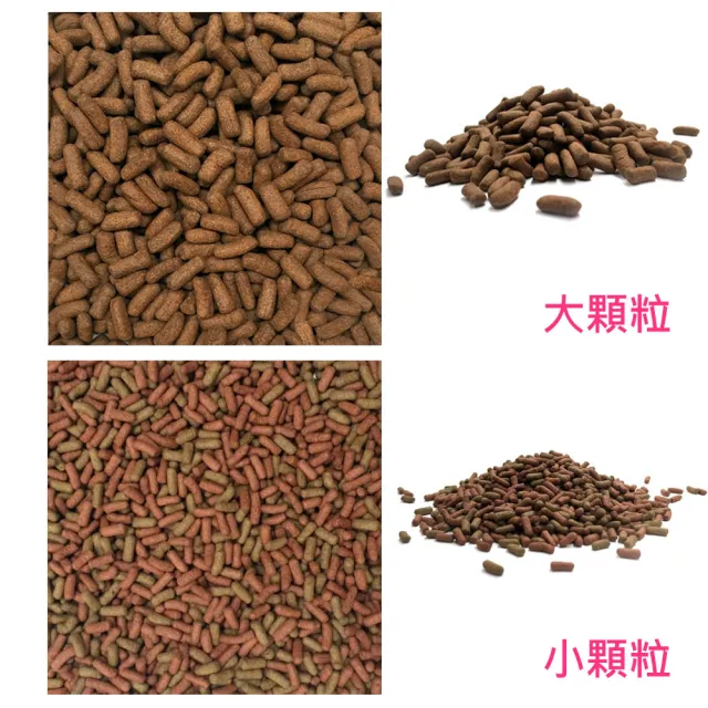 【AZOO】9合1小烏龜飼料900mlX2罐(烏龜及兩棲爬蟲動物)