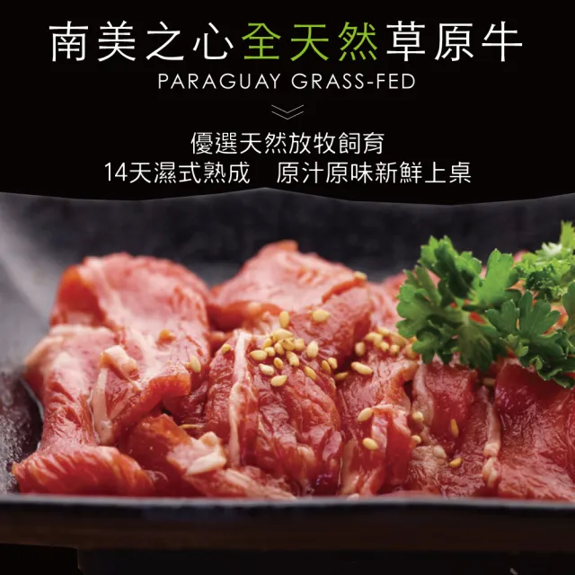 【豪鮮牛肉】南美草原熟成嫩肩肉片8包(200g±10%/包)