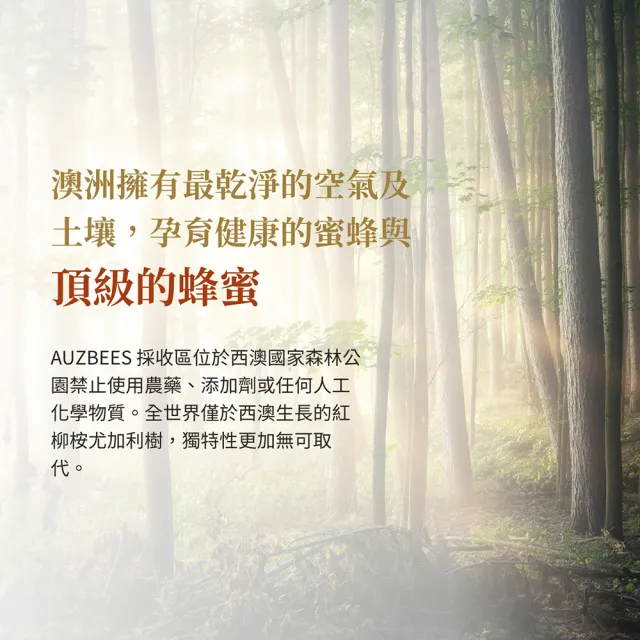 【Auz bees 澳蜜工坊】官方直營 TA25赤桉蜂蜜250gX1入 雙11推薦