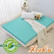 【LooCa】贈枕x1-頂級12cm防蚊+防蹣+超透氣記憶床墊(單人3尺)