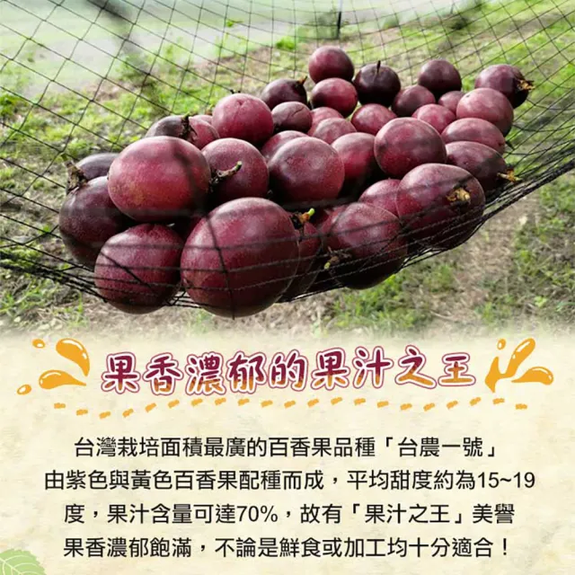 【享吃鮮果】鮮採台農一號百香果1箱(1.8kg±1.5%/箱)