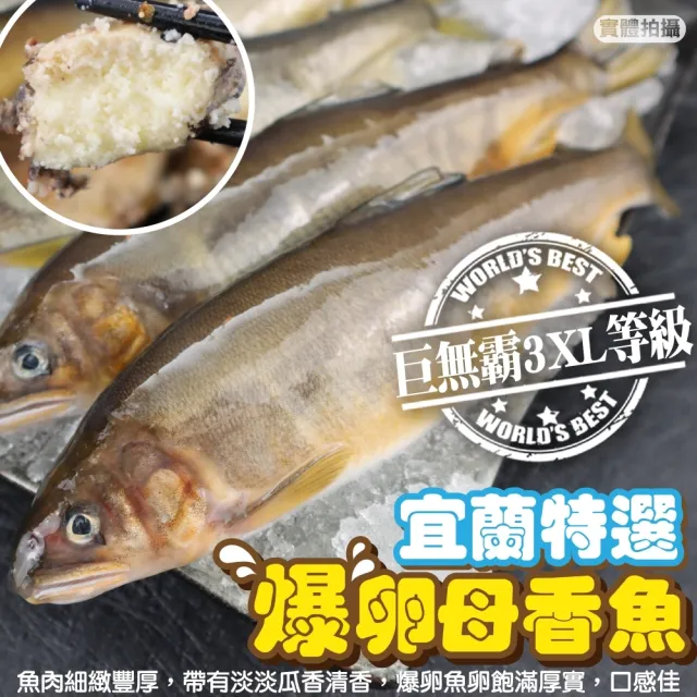 【三頓飯】宜蘭特選3XL爆卵母香魚(2盒_8尾/1kg/盒)