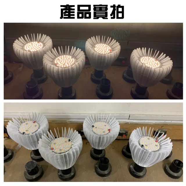 【JIUNPEY 君沛】40W 全光譜E27植物燈泡(植物生長燈)
