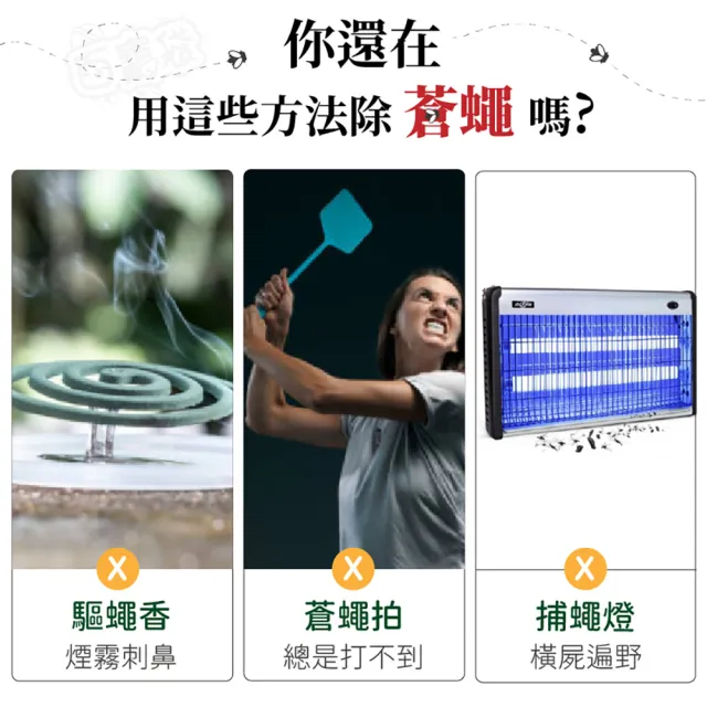 【指選好物】黏蠅紙 10入組(引誘率高 不限場所)