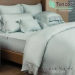 【Tonia Nicole 東妮寢飾】環保印染100%萊賽爾天絲被套床包組-青檸(加大)