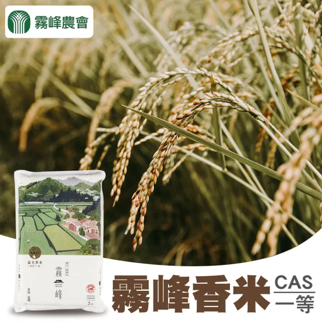 【霧峰農會】益全香米-台農71號2kgX2包