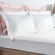 【HOLA】托斯卡素色純棉歐式枕套2入風信子白