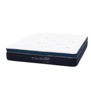 【NITORI 宜得利家居】◎雙人床墊 DUALPOCKET3 HG TW(床墊 DUALPOCKET3HG)