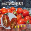 【光合果物】溫室玉女小番茄 6盒(約1斤/盒)