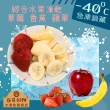 【春哥好物】綜合水果凍乾(二款組合六種急凍鮮美味)