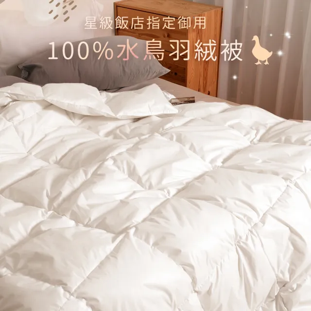 【田中保暖】雙人6x7尺 星級飯店專用 100%水鳥羽絨被 羽絨被 冬被 台灣製
