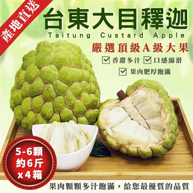 【金好迦】嚴選台東大目釋迦 大粒果 6斤x4箱(5-6顆/箱)