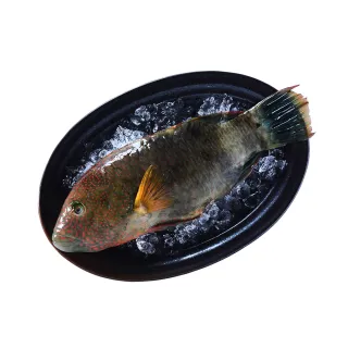 【頤珍鮮物】任選999出貨-鸚哥魚(250g/盒)