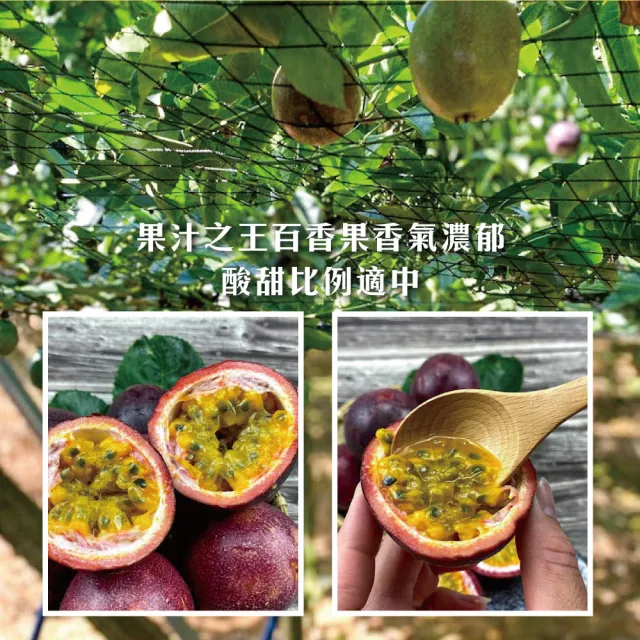 【初品果】南投埔里百香果AA級禮盒5斤x4盒(原生種_香甜飽滿_產地直送_年節禮盒)