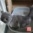 【家康貓砂】高效除臭活性碳貓砂6.5kg-3入/箱(礦砂)