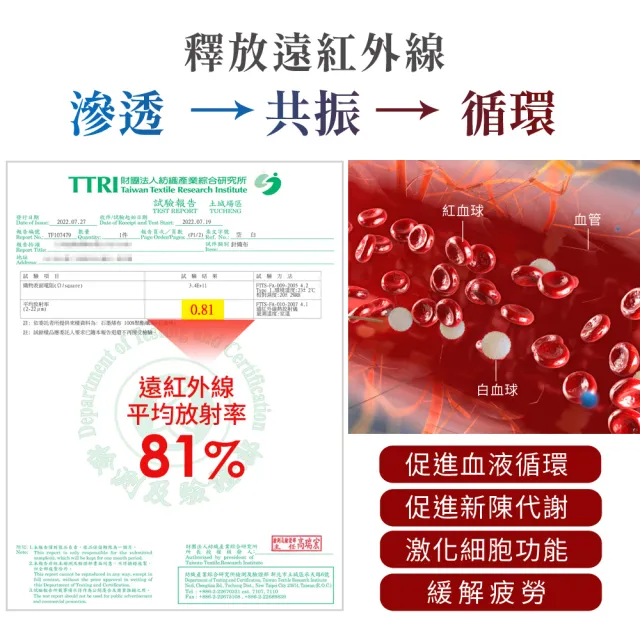 【LooCa】石墨烯EX防蹣11cm記憶床墊(單大3.5尺-送石墨烯枕套X1)