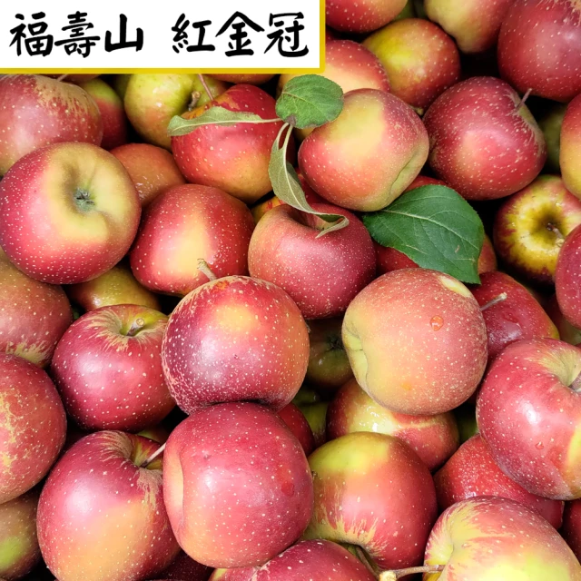 愛蜜果 大梨山區 福壽山紅金冠蘋果15顆禮盒X1盒(3.5斤±5%/盒)