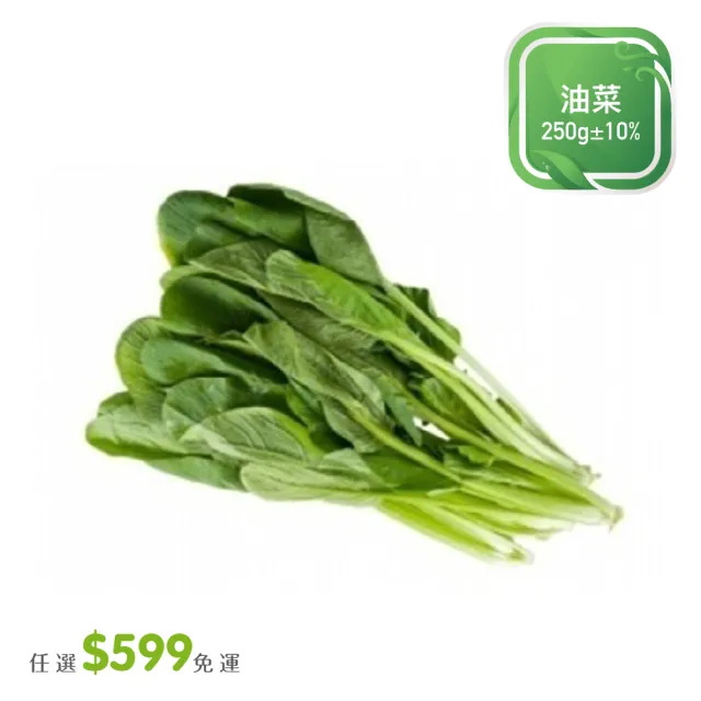 【菜霸子】任選-滿599元出貨(油菜250g 廠商直送)