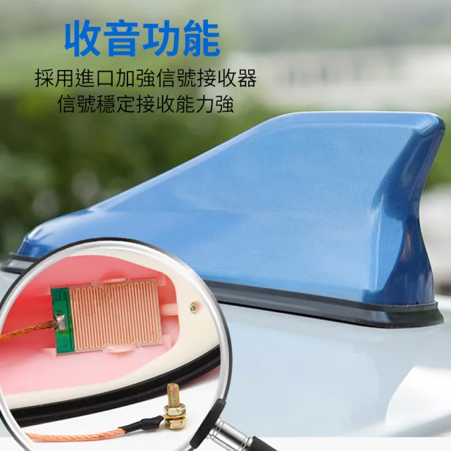 【勝利者】ABS烤漆 碳纖維 車頂鯊魚鰭裝飾車用天線 收音機天線