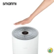 【smartmi智米】AP空氣清淨機2入組(適用8-15坪/小米生態鏈)