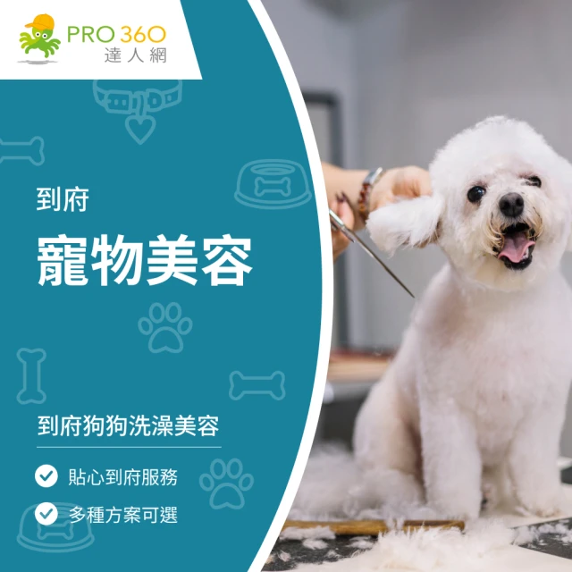 PRO360達人網 到府狗狗洗澡美容★小型犬(寵物小美容)