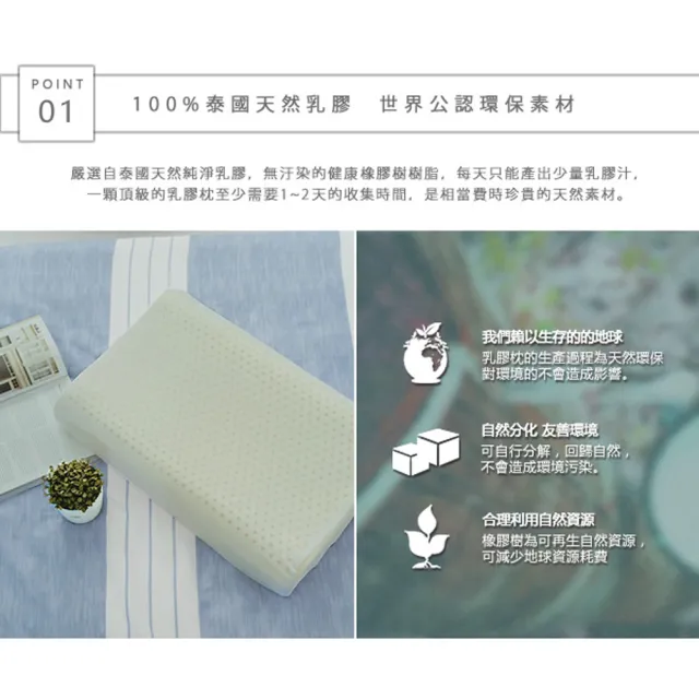 【Adorar愛朵兒】買一送一 泰國乳膠枕-人體工學型釋壓(12cm)