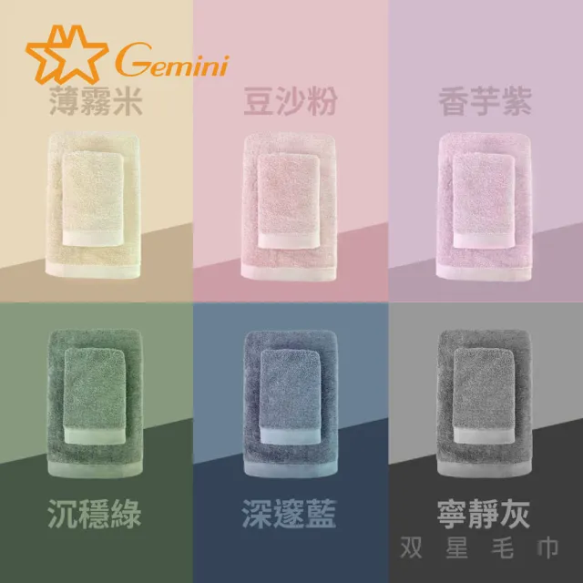 【Gemini 雙星】官方直營 100%純棉飯店毛巾6入(自帶掛繩)-多色任選